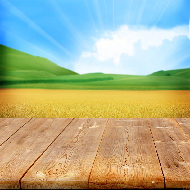istock agriculture background with wooden planks 503070765