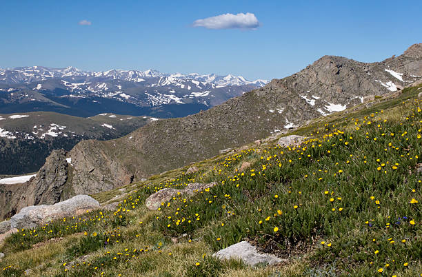 istock The View from Mt Evans looking over the Continental Divide 503070889