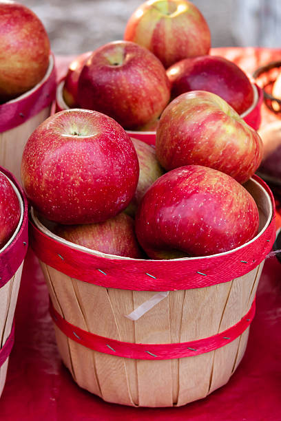 ファーマーズマーケット - apple gala apple fuji apple fruit ストックフォトと画像