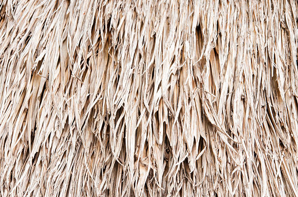istock Walls of straw dry 503071273
