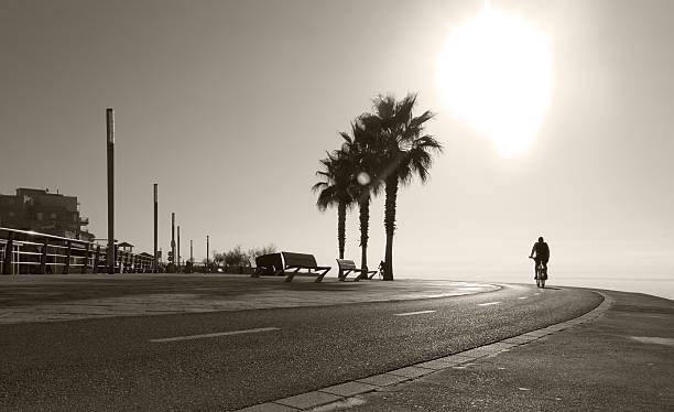 istock Sunny bike route along the Mediterranean 503071718