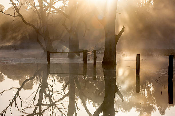 istock Billabong in Banyule, Victoria, Australia 503071891