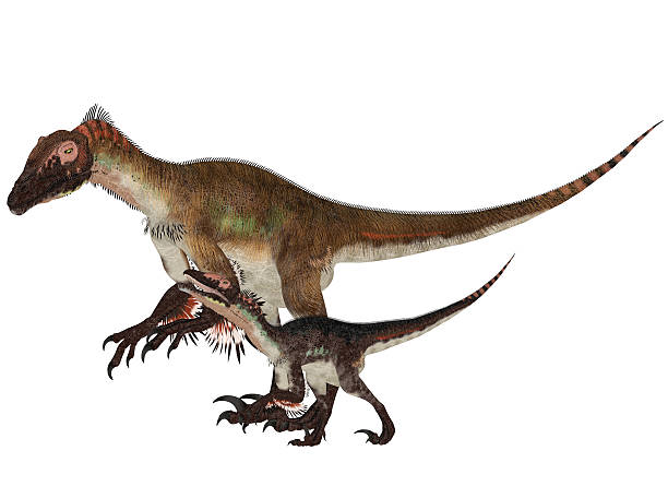 Illustration of an adult and a young Utahraptor stock photo
