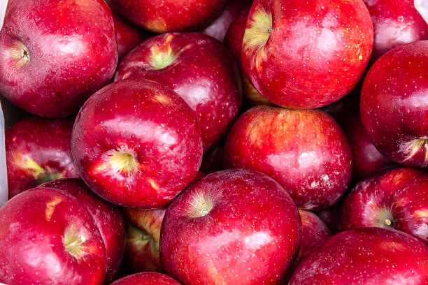 istock Farmers Market 503072851