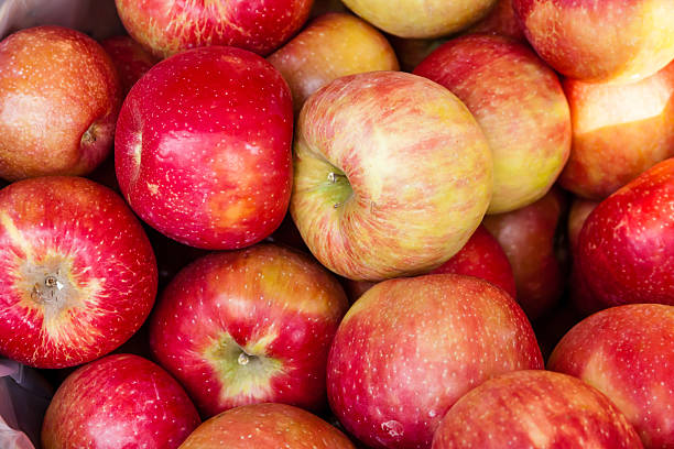 Farmers Market Large box full of fresh organic red apples on display at local farmers market Fuji Apple stock pictures, royalty-free photos & images