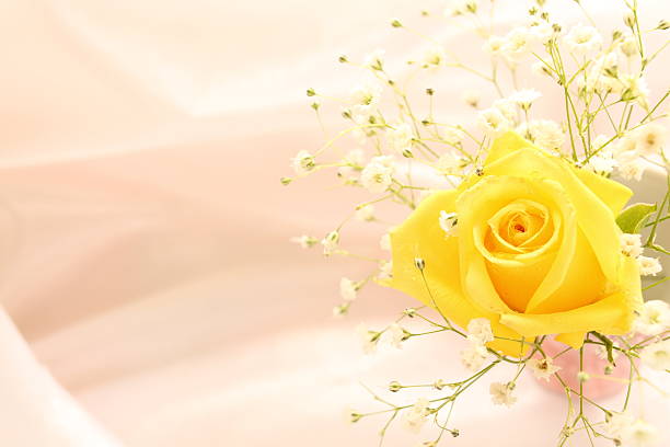 Bouquet, yellow, rose, gerbera