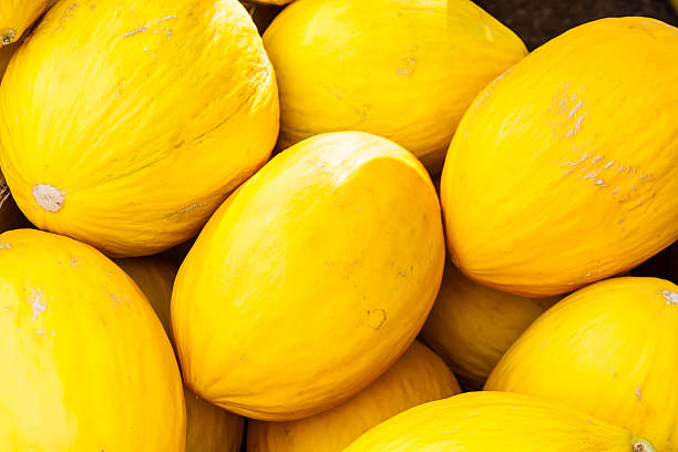 istock Farmers Market 503073477