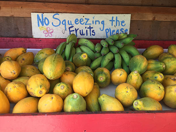 istock Colorful fruit for sale on Kauai, Hawaii 503073654