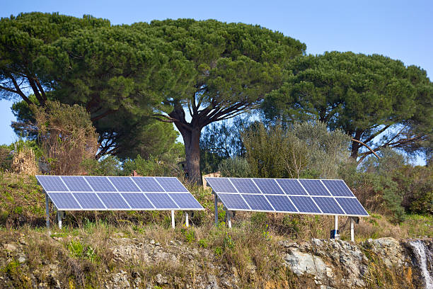 Solar Panels in the Provence A lot of solar panels, a new solar power system, are standing on the hill near Sainte Maxime (South of France). In background are seen beautiful pine trees.. pinus pinea photos stock pictures, royalty-free photos & images