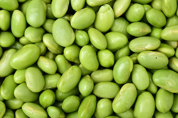 istock closeup of fresh edamame 503075730