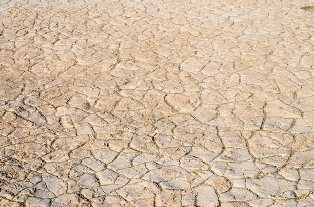 istock Death Valley National Park 503076230