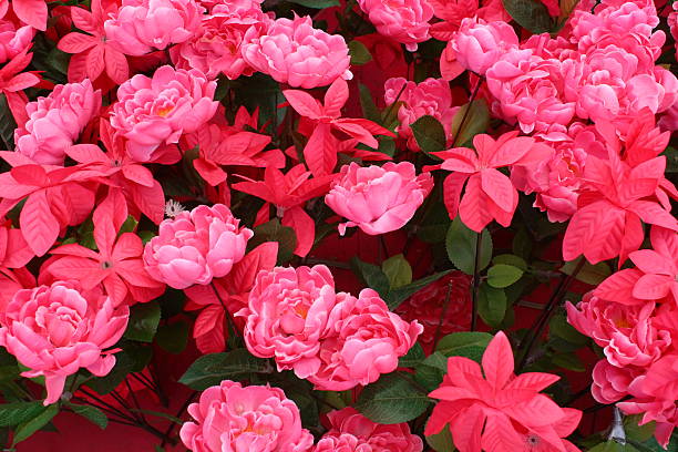 istock The pink flower background 503076972