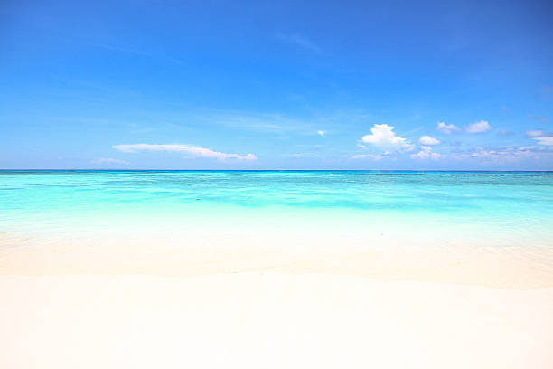 istock Andaman sea, Tachai Island 503078220