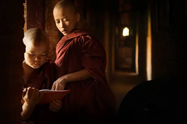 Photo of Buddhist novices learning inside temple