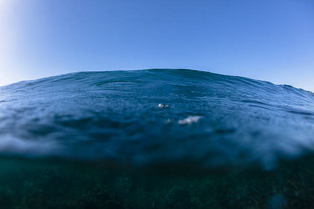 istock Ocean Blue Swells Swimming 503078714