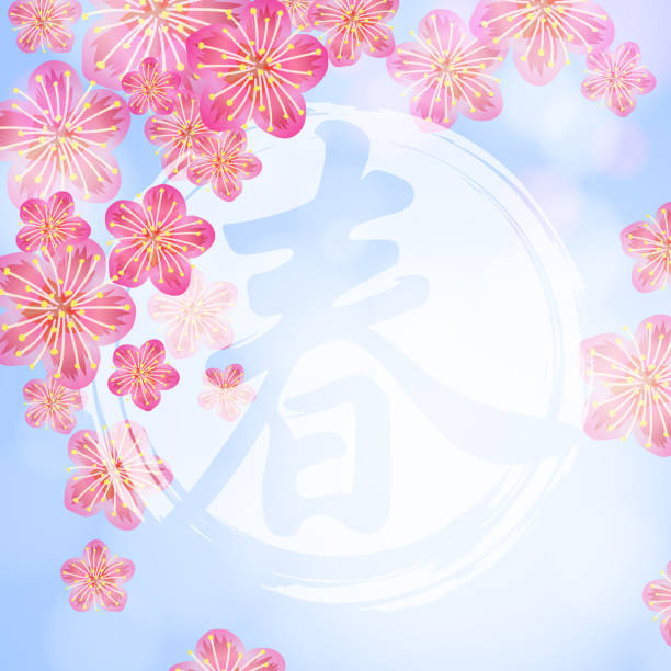 illustrations, cliparts, dessins animés et icônes de nouvel an chinois, pêche de fond de fleurs - chinese culture china chinese ethnicity frame
