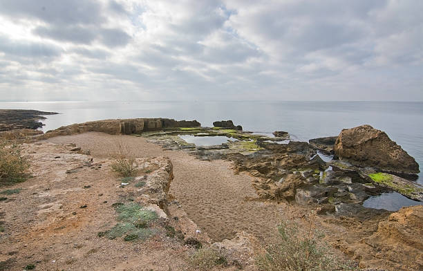 istock Rocky seaside landscape 503081102