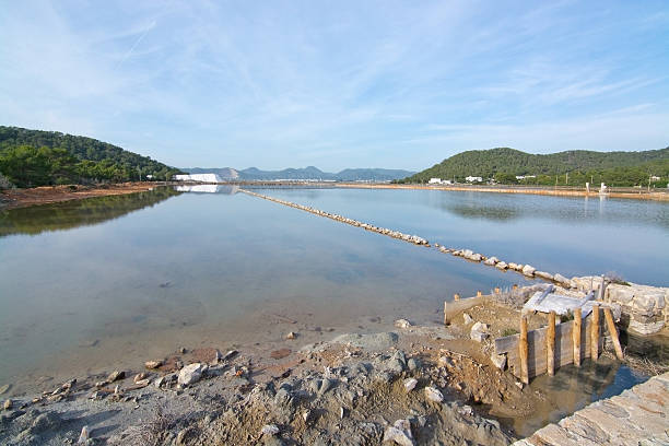 istock Ses Salines landscape view 503081170