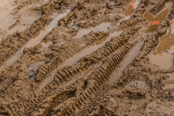 「wet （ウェット）」の質感のブラウンの泥に、自転車 tyre トラック - trail landscape footpath nature ストックフォトと画像