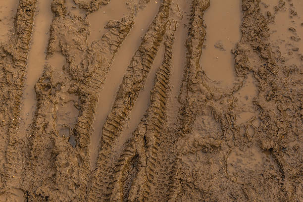 「wet （ウェット）」の質感のブラウンの泥に、自転車 tyre トラック - trail landscape footpath nature ストックフォトと画像