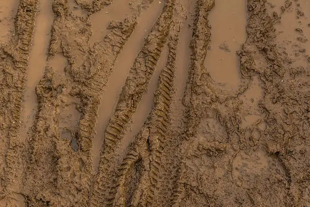 Photo of Texture of wet brown mud with bicycle tyre tracks