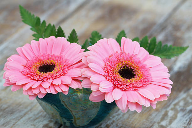 istock Pink gerbera daisies in flower vase on rustic wooden surface 503082038