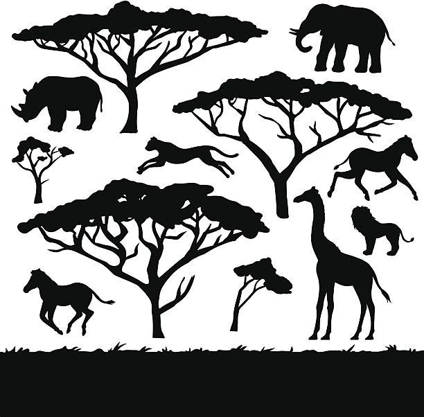중유럽식 나무와 동물, 세트마다 블랙 실루엣 - pachyderm stock illustrations