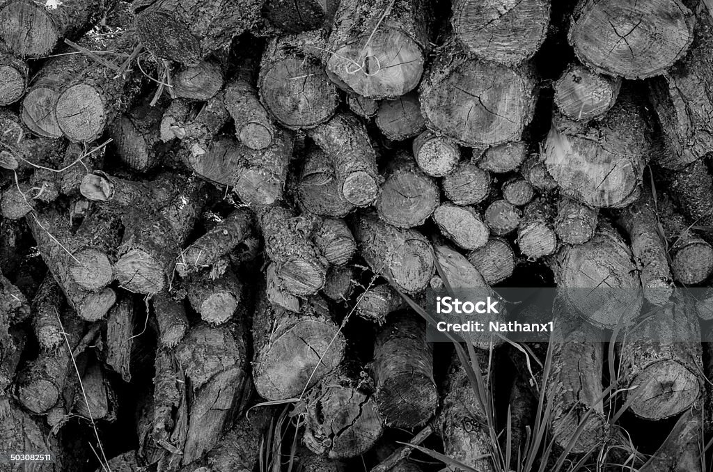 log pile, black and white image close up shot of a log pile, choped and ready to burn, black and white image Black And White Stock Photo