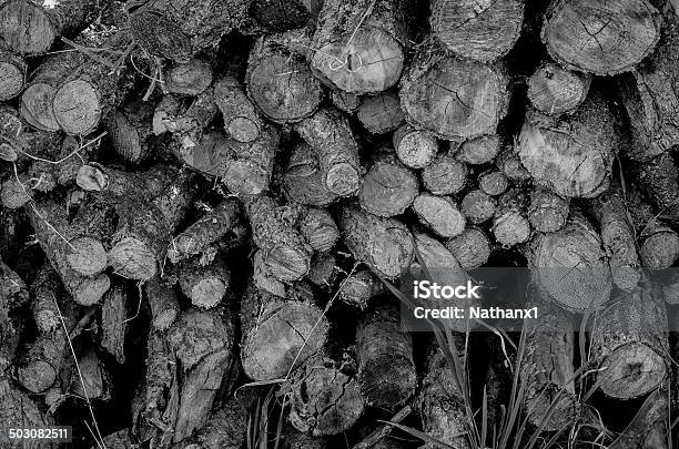 Log Pile Black And White Image Stock Photo - Download Image Now - Black And White, Branch - Plant Part, Close-up