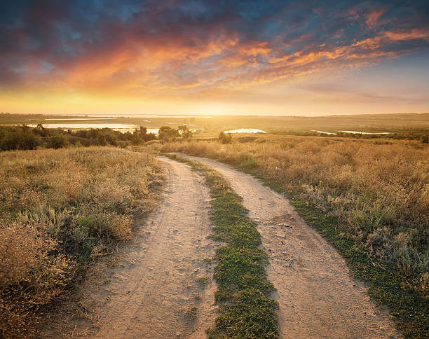 시골길 road - footpath single lane road road farm 뉴스 사진 이미지