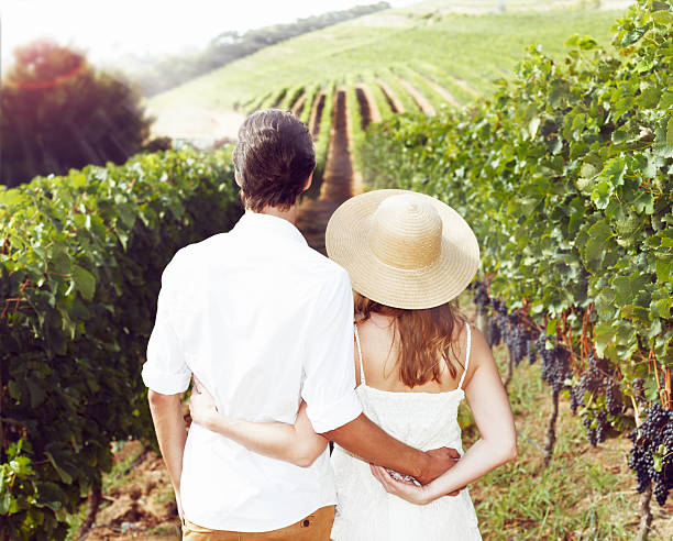 istock Embracing couple, backview, look over idyllic Western Cape vineyard 503083495