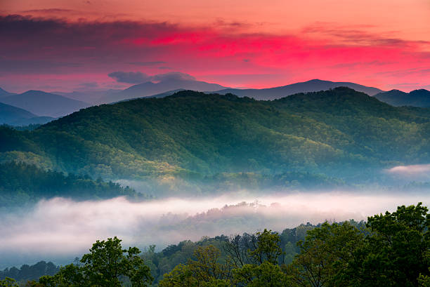 Sunrise at Foothills Parkway Overlook Spring sunrise view of layered mist in the  mountains of Great Smoky Mountains National Park foothills parkway photos stock pictures, royalty-free photos & images