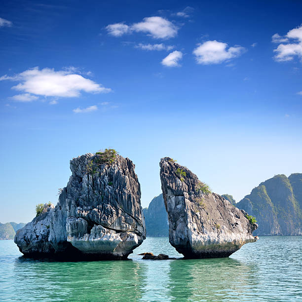 istock Halong Bay, Vietnam 503083950