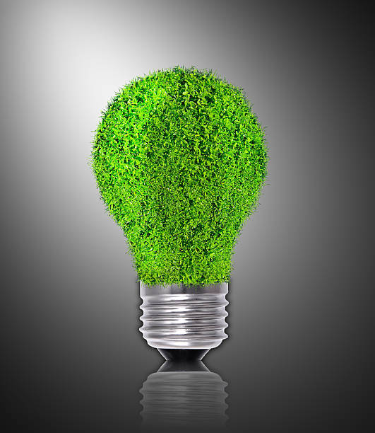 istock Natural energy concept - green renewable power 503084871