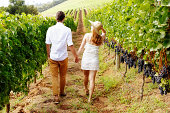 Couple walking away, hand in hand, through beautiful vineyard
