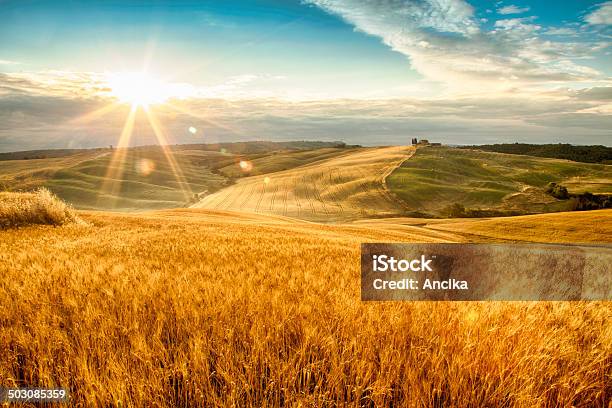 Felder Des Goldes Stockfoto und mehr Bilder von Agrarbetrieb - Agrarbetrieb, Anhöhe, Bauernhaus