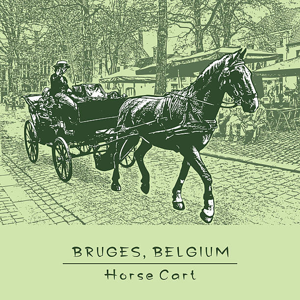 illustrazioni stock, clip art, cartoni animati e icone di tendenza di cavallo carrello. bruges, belgio. - horsewhip