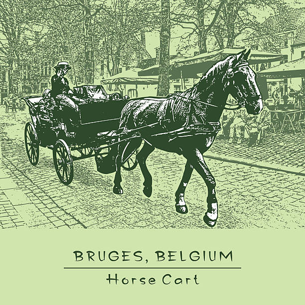 ilustrações, clipart, desenhos animados e ícones de carrinho de cavalo. bruges, bélgica. - horsewhip