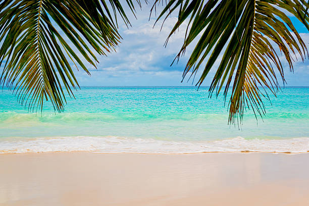 istock Anse Lazio, Praslin island, the Seychelles 503086301