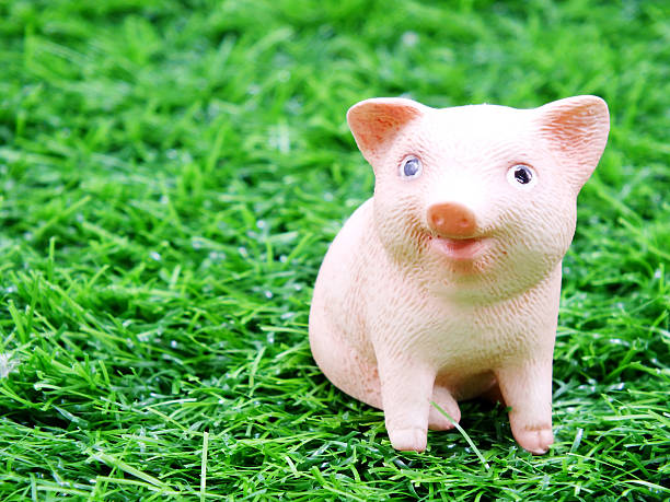 istock cute baby smile pig clay doll in a grass 503086344