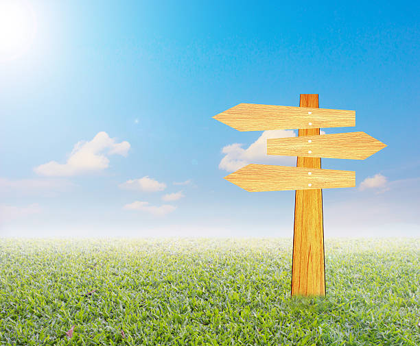 istock wooden sign with nature abstract background 503086814