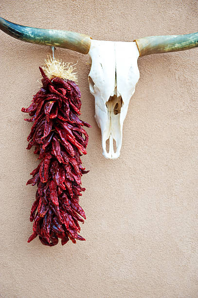istock Route 66, Cow Skull and Chili Peppers on Stucco Wall 503087033