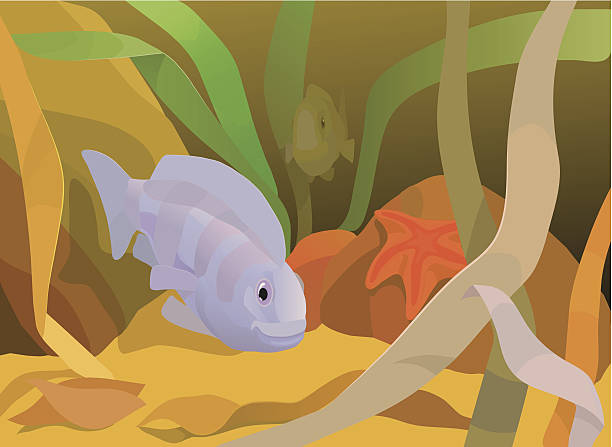 underwater view vector art illustration