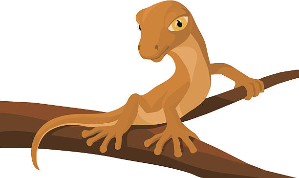 lizard on a branch vector art illustration