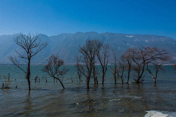 istock Erhai Sea natural landscape 503088059