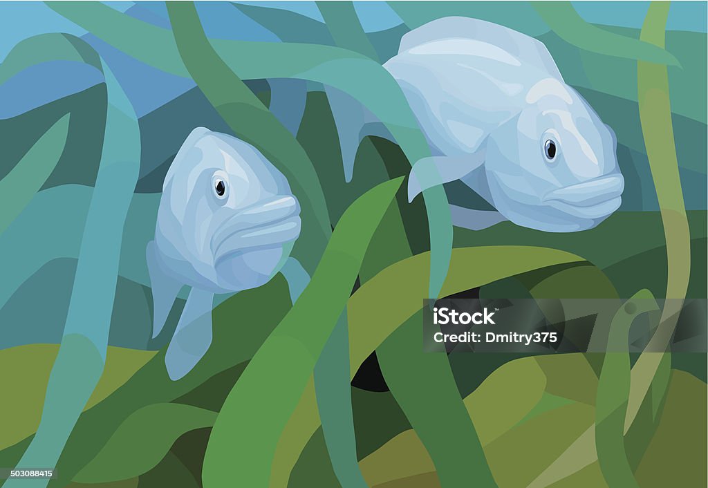 underwater view with fishes and seaweeds a couple of fishes among algae leaves Algae stock vector