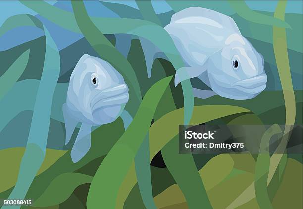 Underwater View With Fishes And Seaweeds Stock Illustration - Download Image Now - Algae, Animal, Animal Fin