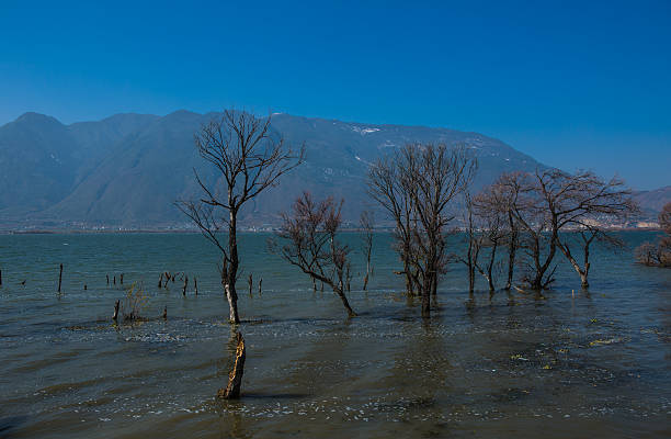 istock Erhai Sea natural landscape 503088861