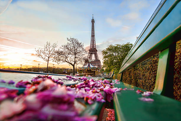 istock Eiffel Tower during spring time in Paris, france 503096955