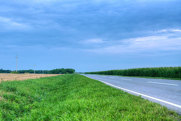 istock Country road by the cornfield 503097299